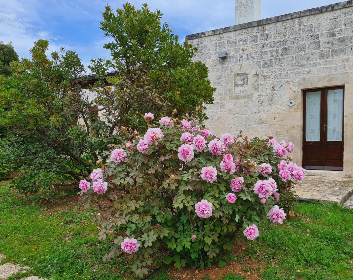 צ'לייה מספיקה Masseria Montecchie מראה חיצוני תמונה