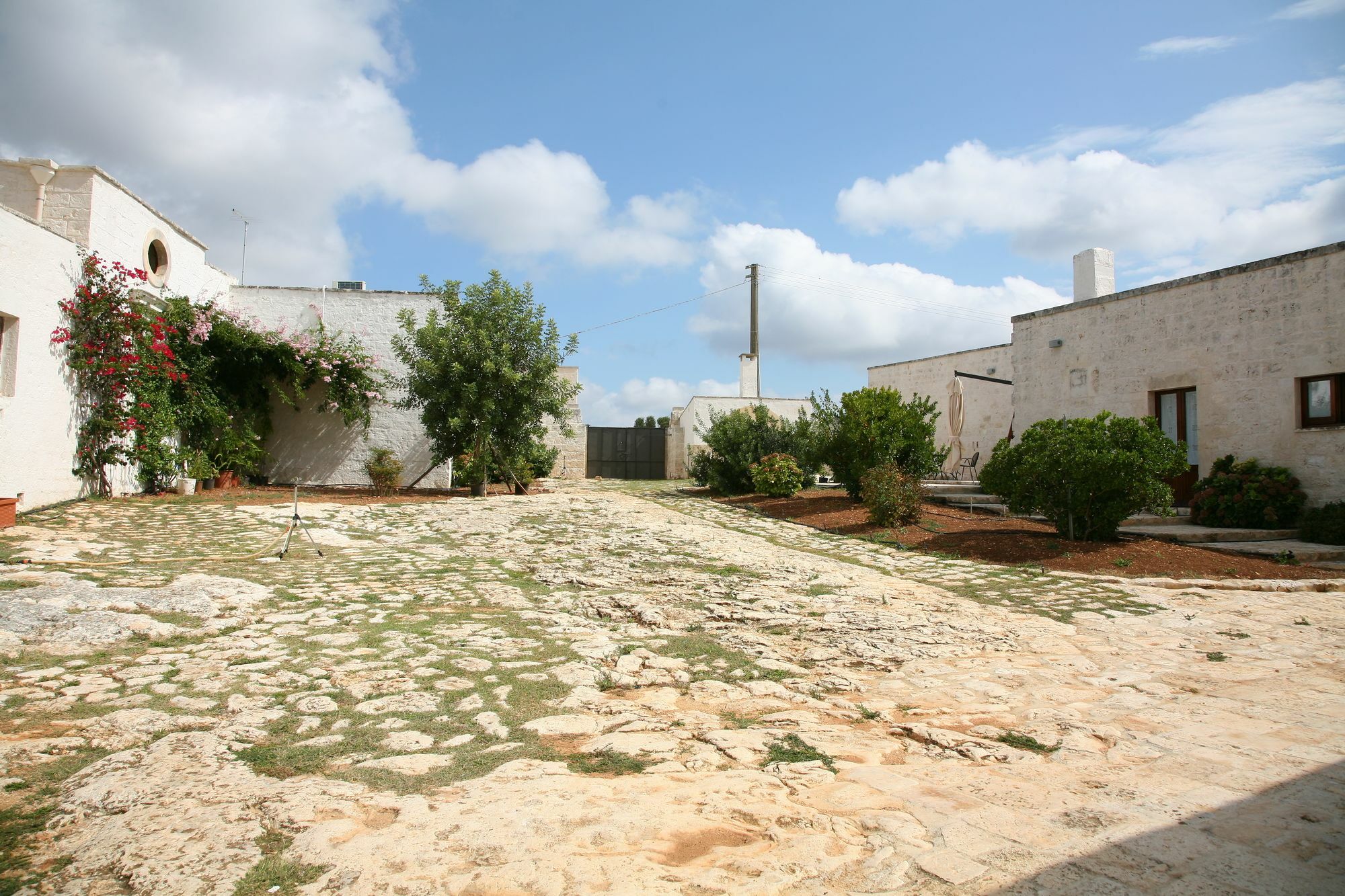 צ'לייה מספיקה Masseria Montecchie מראה חיצוני תמונה